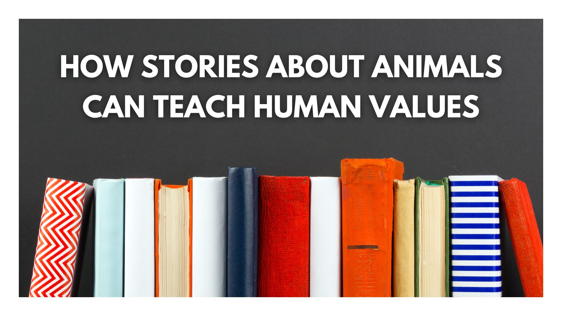 Blog Banner Template 6