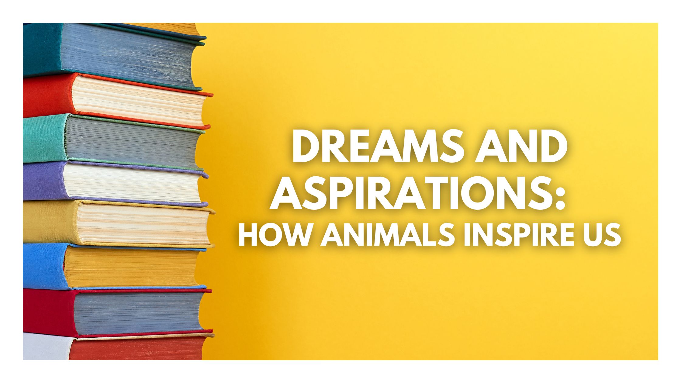 Copy of Blog Banner Template 1 1