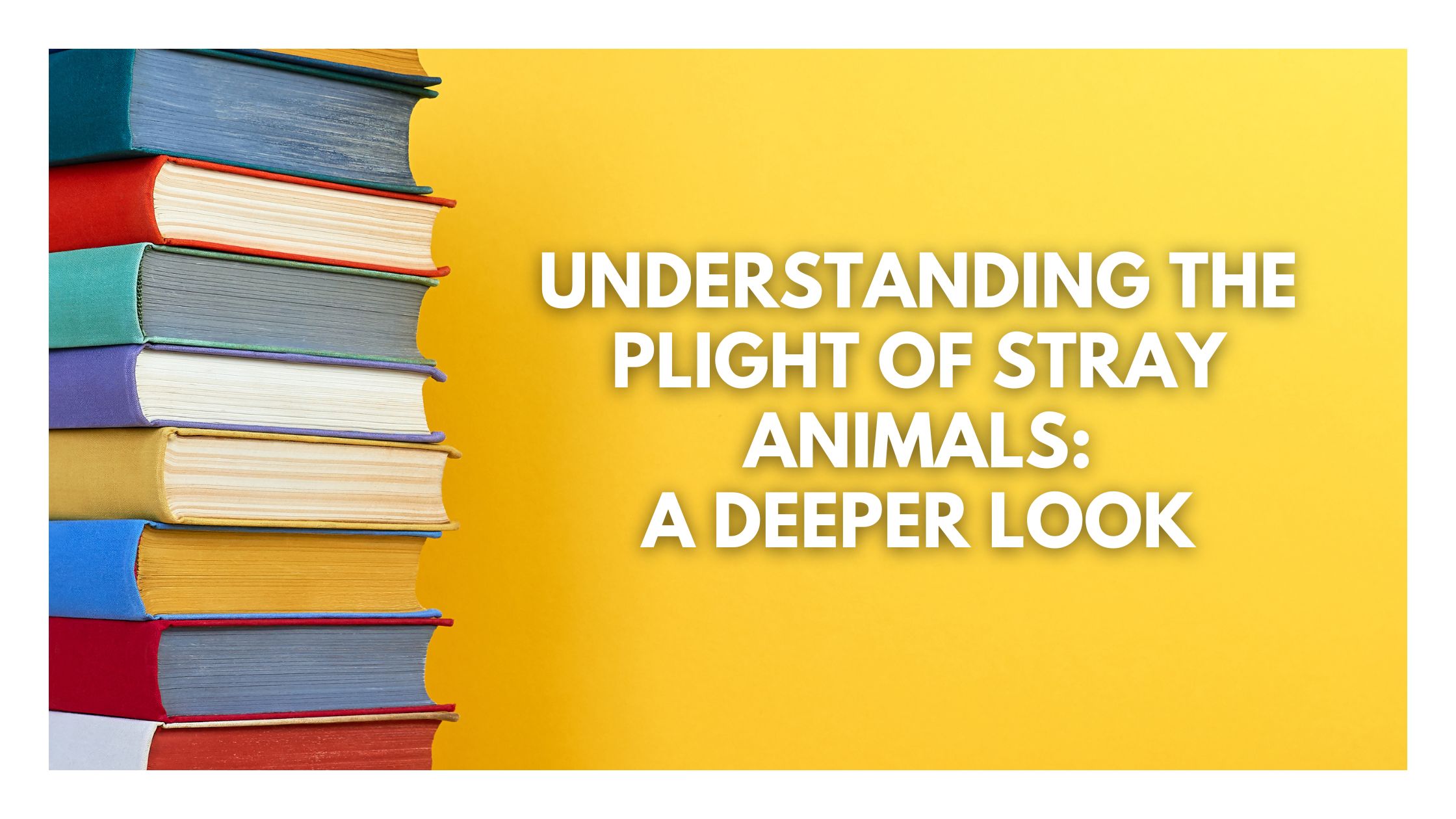 Copy of Blog Banner Template 1