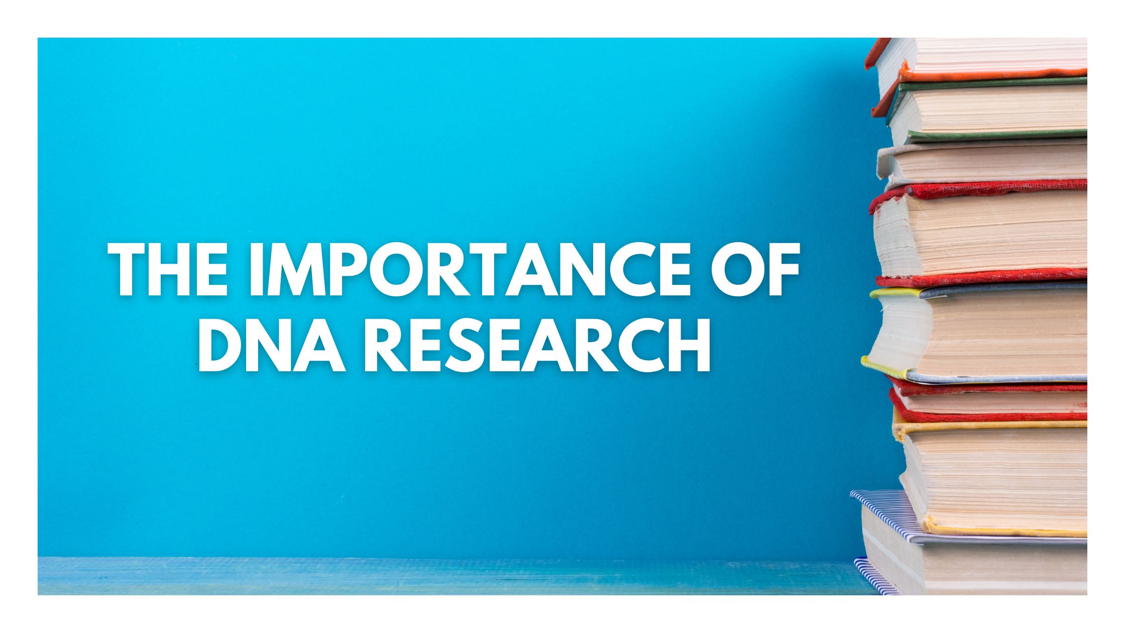 Copy of Blog Banner Template 4 1