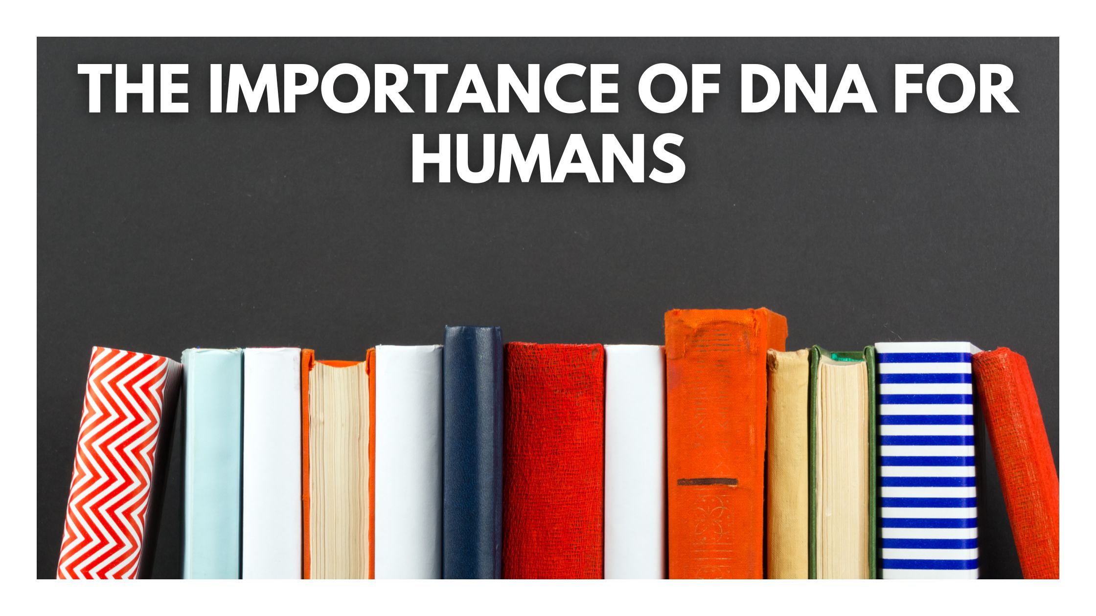 Copy of Blog Banner Template 6 1