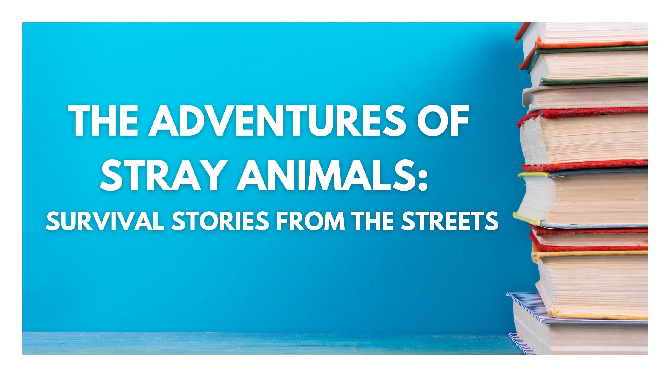Copy of Blog Banner Template 9 1
