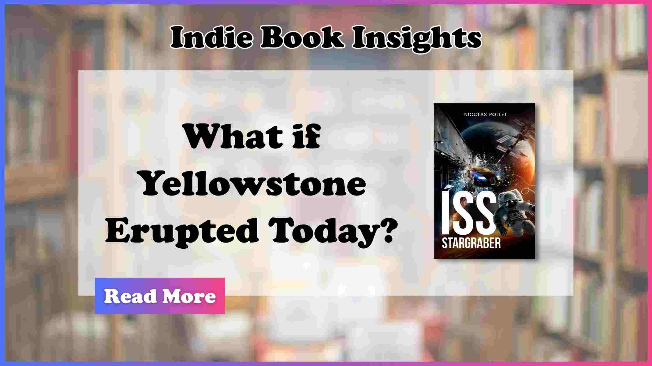 Indie Book Insight Banners
