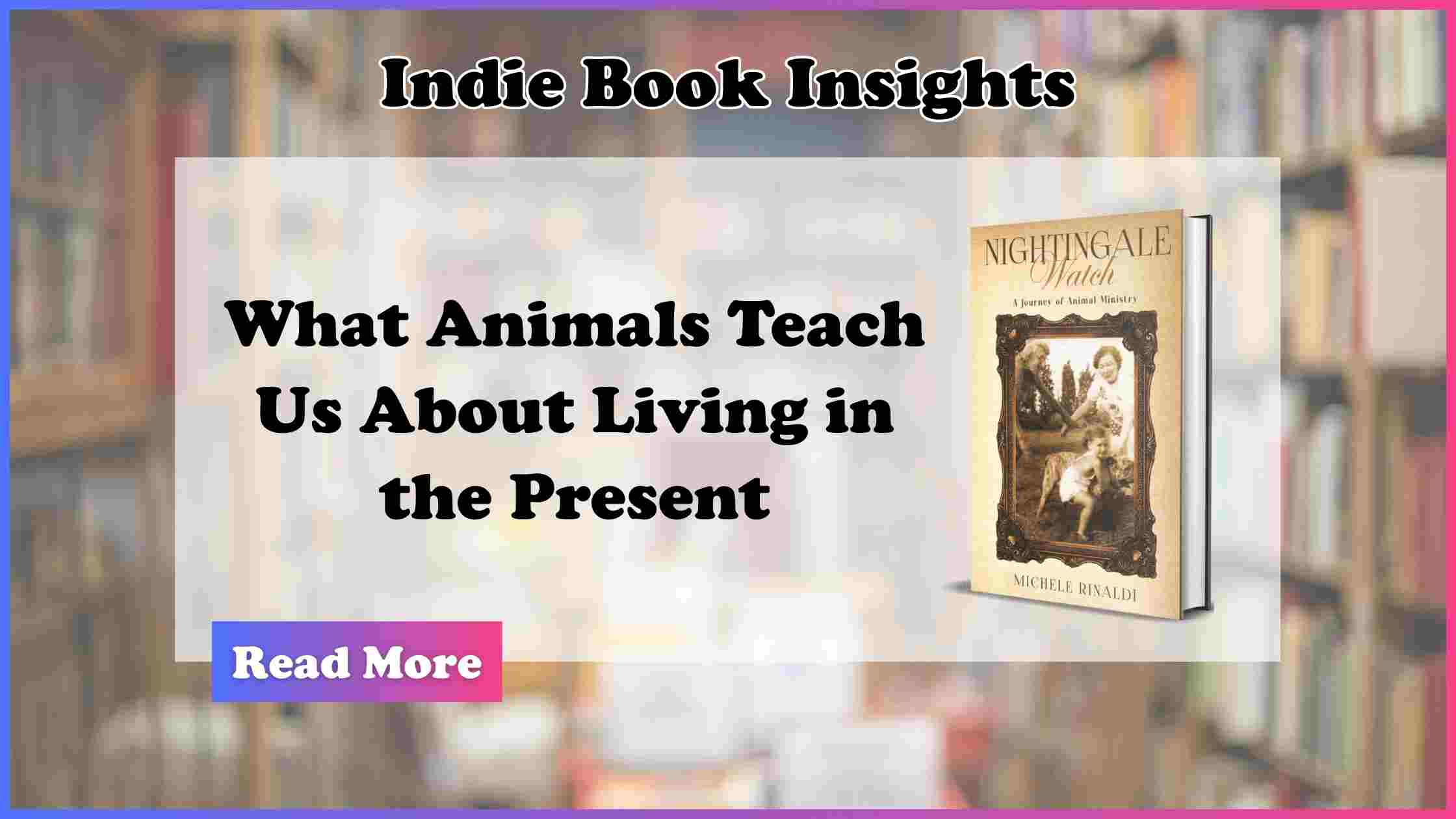 Indie Book Insight Banners